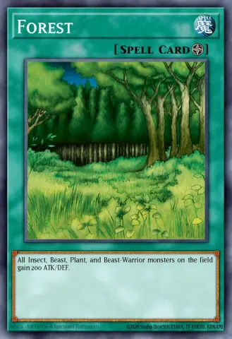 Forest · E036