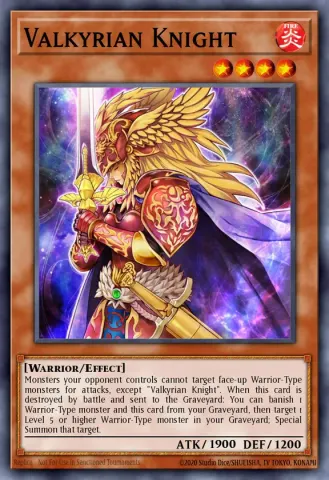 Valkyrian Knight · EN039