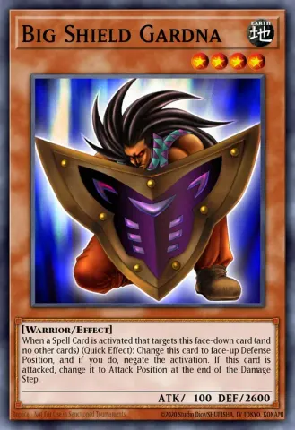 Big Shield Gardna · EN032