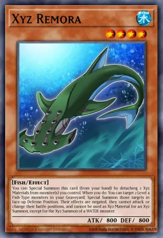 Xyz Remora · EN009