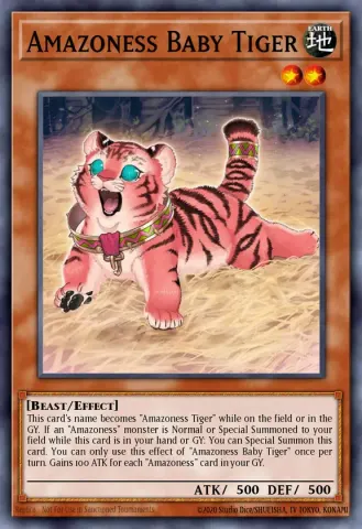 Amazoness Baby Tiger · EN009