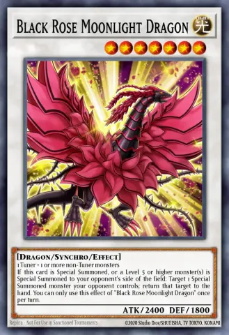 Black Rose Moonlight Dragon · EN038