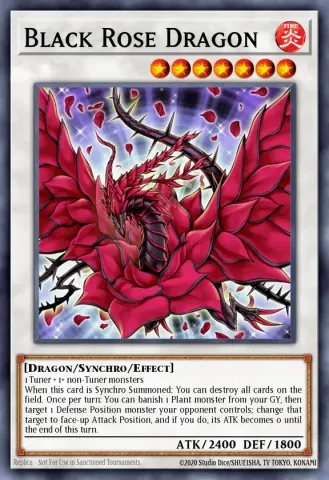 Black Rose Dragon · EN026