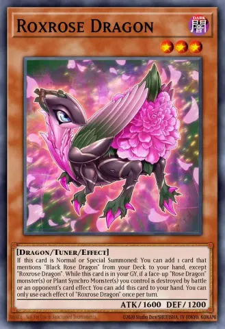 Roxrose Dragon · EN009