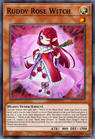 Ruddy Rose Witch · EN010