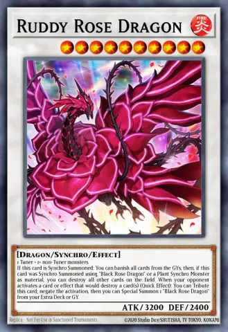 Ruddy Rose Dragon · EN035