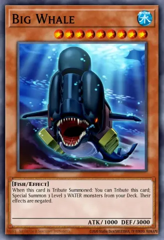 Big Whale · EN008