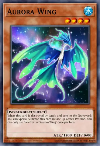 Aurora Wing · EN013