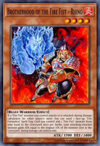 Brotherhood of the Fire Fist - Rhino · EN028