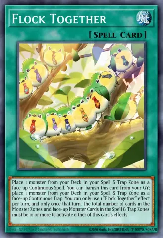 Flock Together · EN072