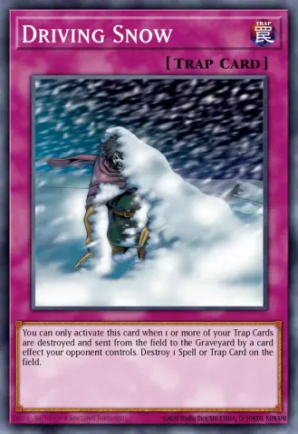 Driving Snow · 018