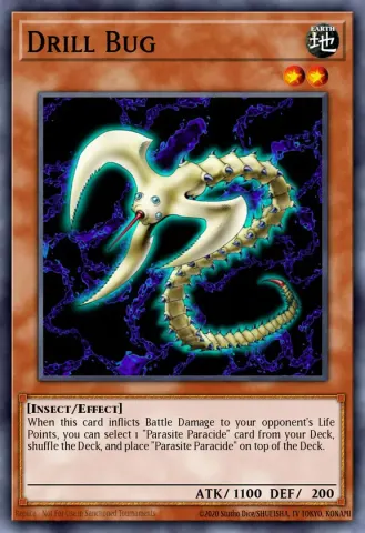Drill Bug · 078