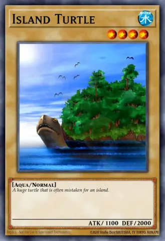 Island Turtle · 095