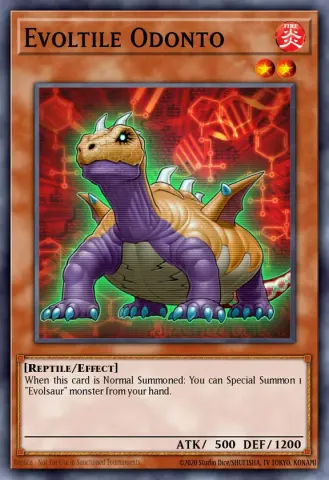 Evoltile Odonto · EN018