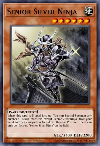 Senior Silver Ninja · EN031