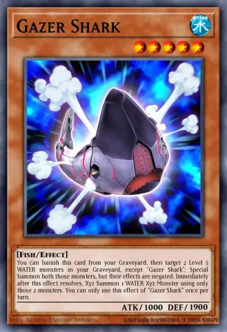 Gazer Shark · EN006