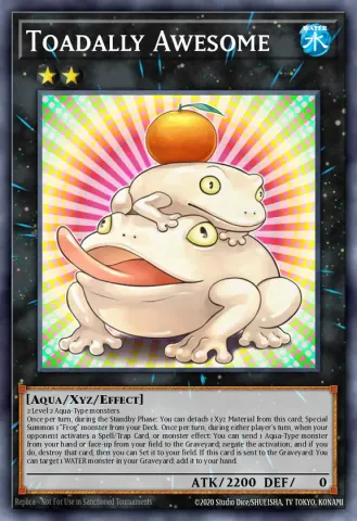 Toadally Awesome · EN040