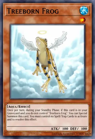 Treeborn Frog · EN161