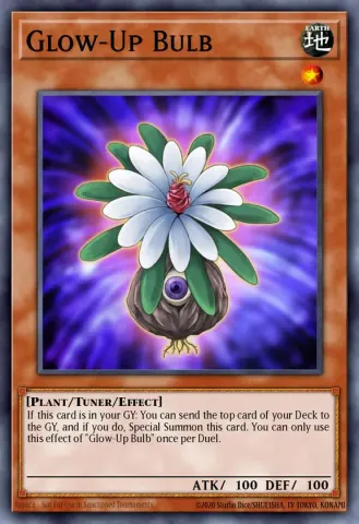 Glow-Up Bulb · EN021