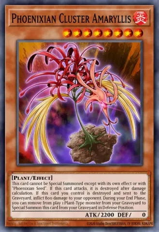 Phoenixian Cluster Amaryllis · EN136