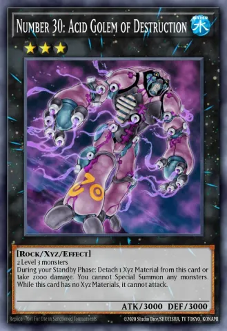 Number 30: Acid Golem of Destruction · ENSE2