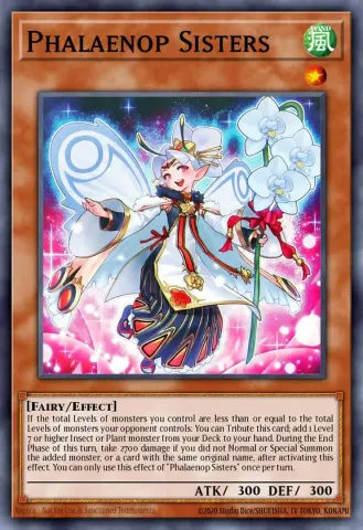 Phalaenop Sisters · EN085