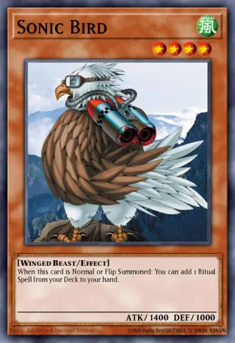 Sonic Bird · EN075