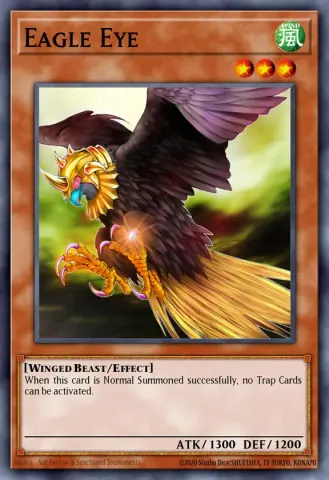 Eagle Eye · EN022