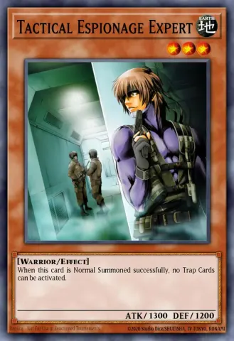 Tactical Espionage Expert · EN023