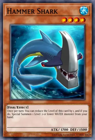 Hammer Shark · EN008