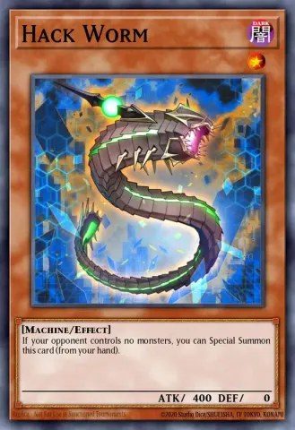 Hack Worm · EN012