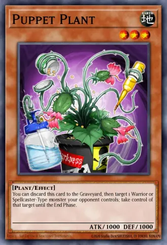 Puppet Plant · EN022