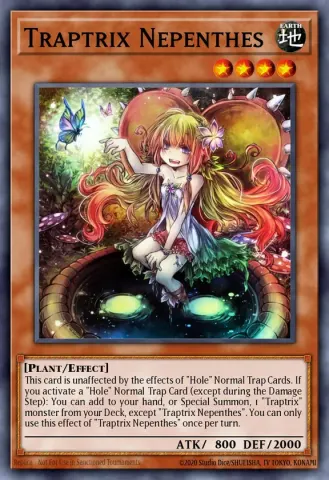Traptrix Nepenthes · EN005
