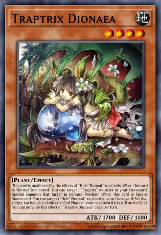 Traptrix Dionaea · EN006
