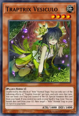 Traptrix Vesiculo · EN008