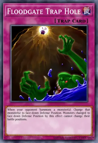 Floodgate Trap Hole · EN046