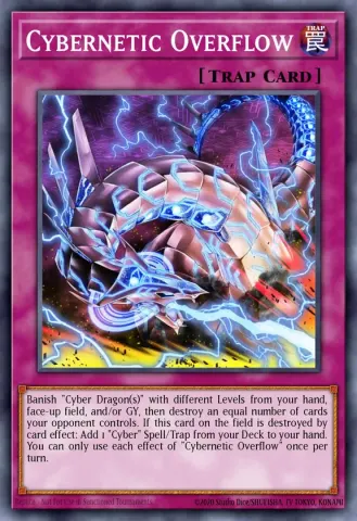 Cybernetic Overflow · EN040
