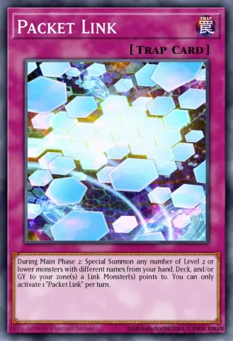 Packet Link · EN031