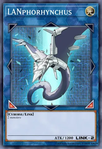 LANphorhynchus · EN042