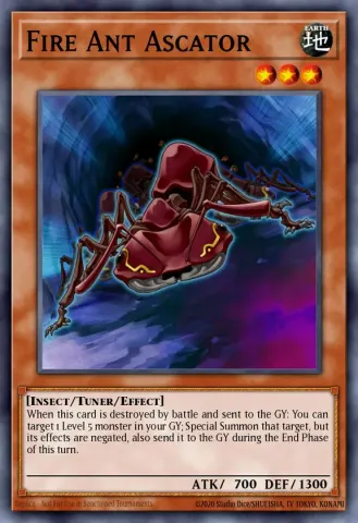 Fire Ant Ascator · EN020