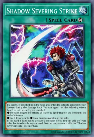 Shadow Severing Strike · EN085