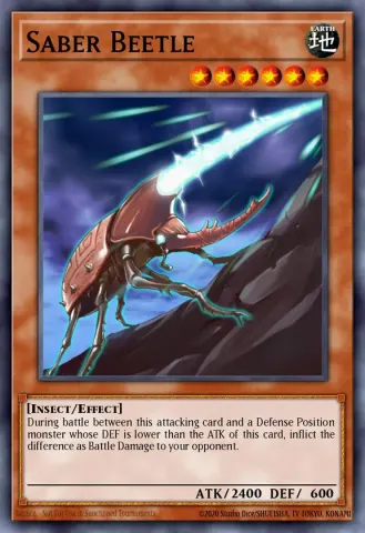 Saber Beetle · EN023