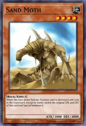 Sand Moth · EN032