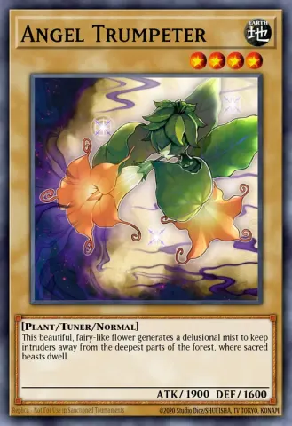 Angel Trumpeter · EN001