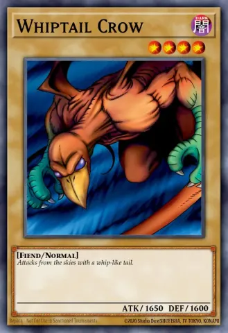 Whiptail Crow · EN002