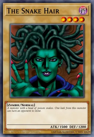 The Snake Hair · EN026