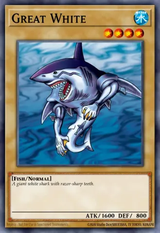 Great White · EN021
