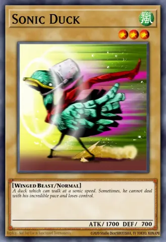 Sonic Duck · EN036