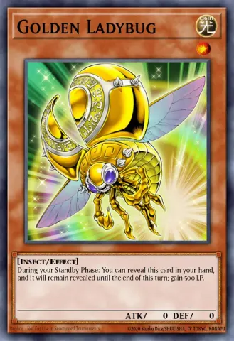 Golden Ladybug · EN036