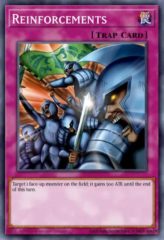 Reinforcements · ENSP5